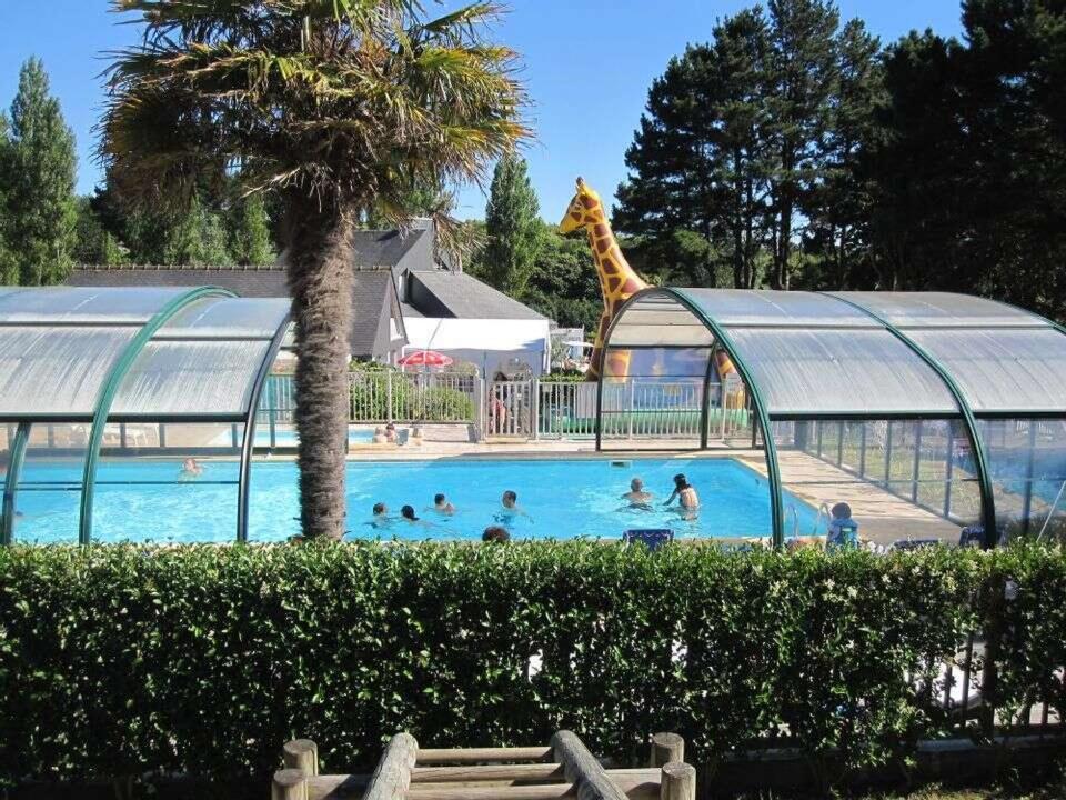 a giraffe is standing in a swimming pool at Camping Paradis les Capucines in Trédrez
