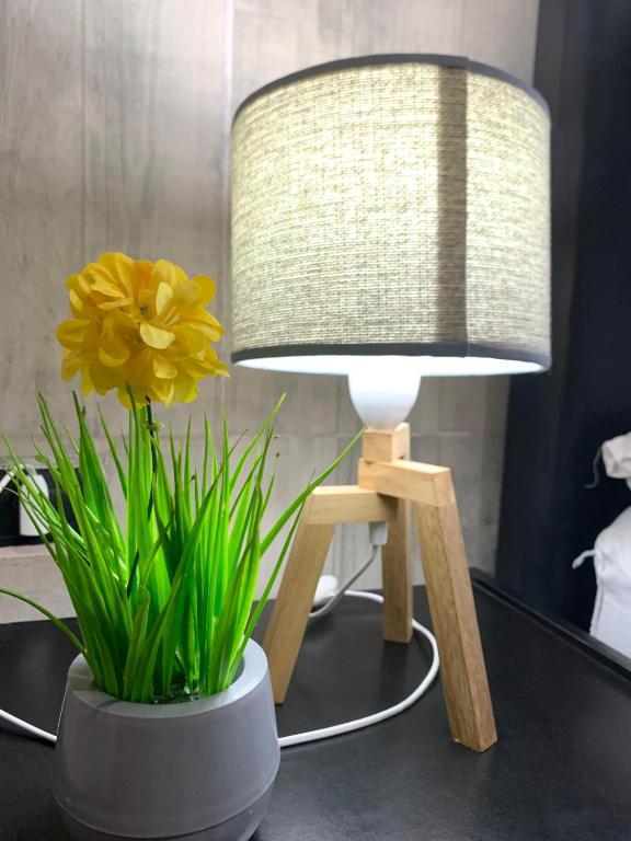 Apartamentos La Terminal