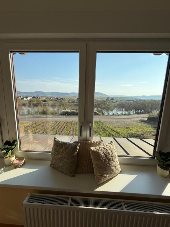 a window with two pillows sitting on a window sill at RebenQuartier in Klüsserath