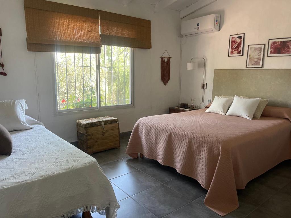 a bedroom with two beds and a window at Casa Sua in Victoria
