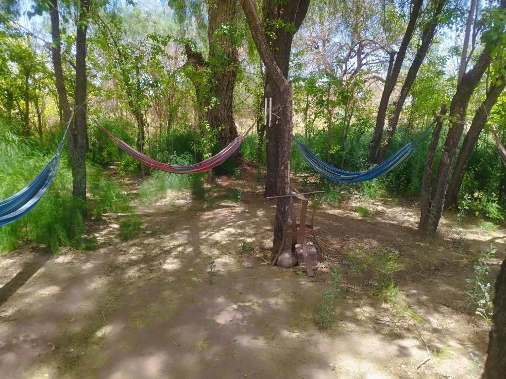 SURI ATACAMA - Eco H&T