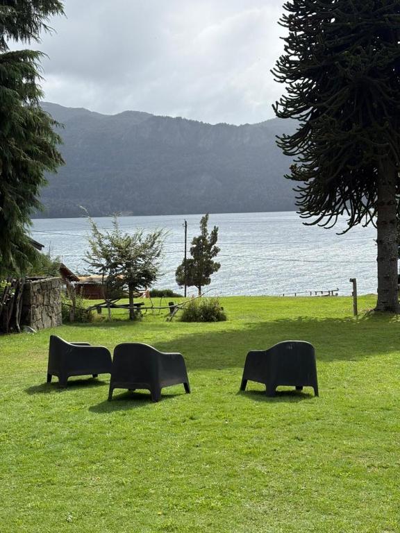 four benches sitting in the grass near the water at Cabañas Walnor in Villa Traful