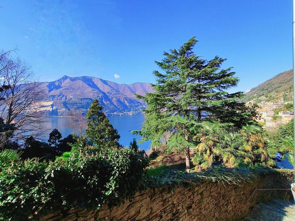 a view of a lake with trees and mountains at Kaspers home lake Como in Blevio