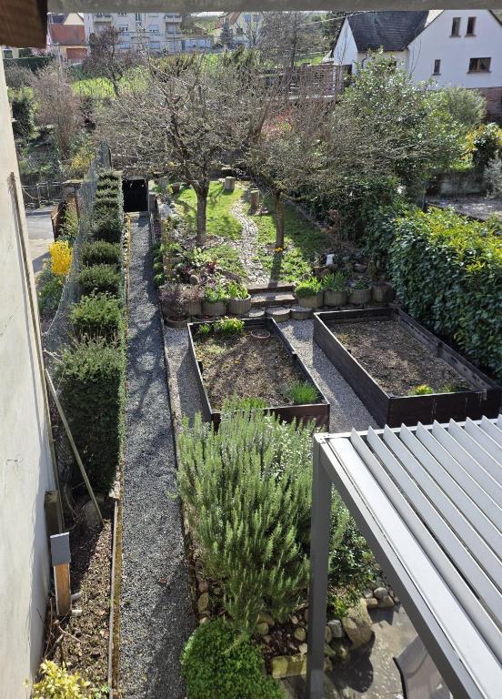 Grand Gite Angelique avec Jardin - Centre Ribeauvillé – photo 27