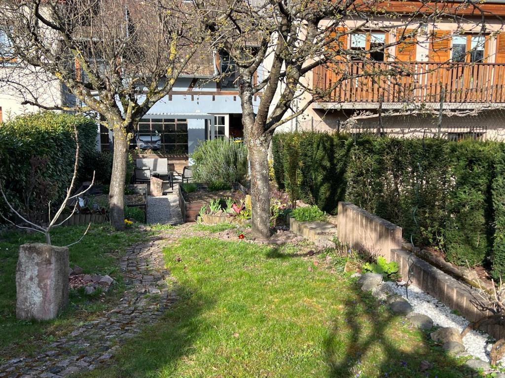 Grand Gite Angelique avec Jardin - Centre Ribeauvillé – photo 41