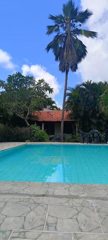 a swimming pool with a palm tree in the background at Okakoaras Hotel in Paulista