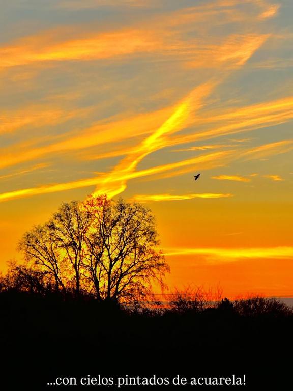 Loma Hermosa Estadias