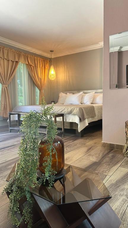 a living room with a bed and a table with a glass table sidx sidx sidx at La Villa de los Alas - Boutique in Juayúa