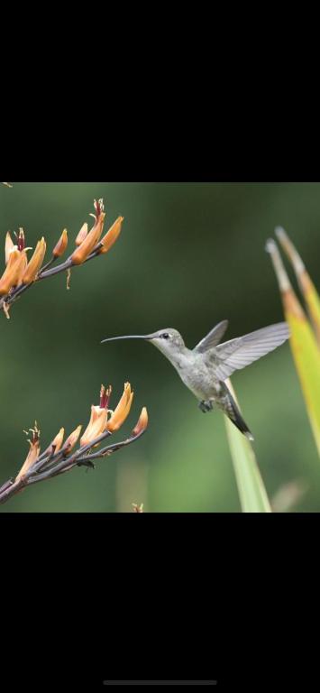 Loma Hermosa Estadias