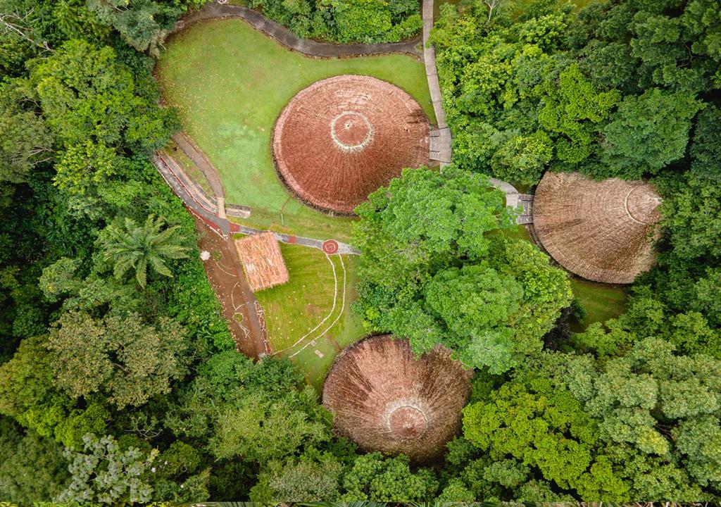 an overhead view of a field in the middle of a forest at Aranwa Sarapiquí Rainforest Lodge in Sarapiquí