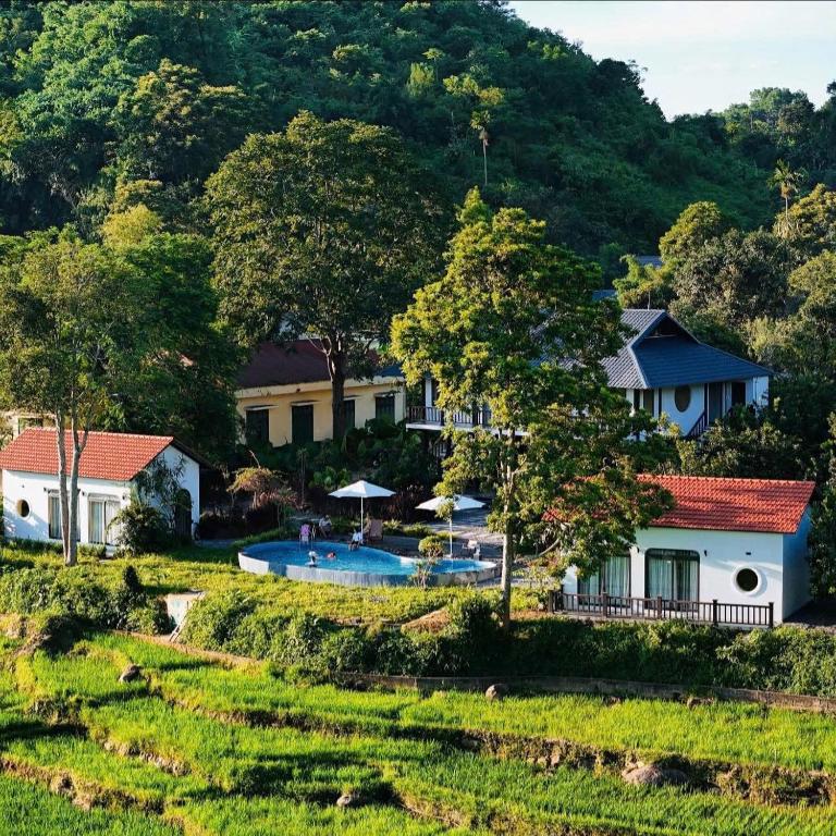 a house with a swimming pool in a field at Trám House in Cao Phong