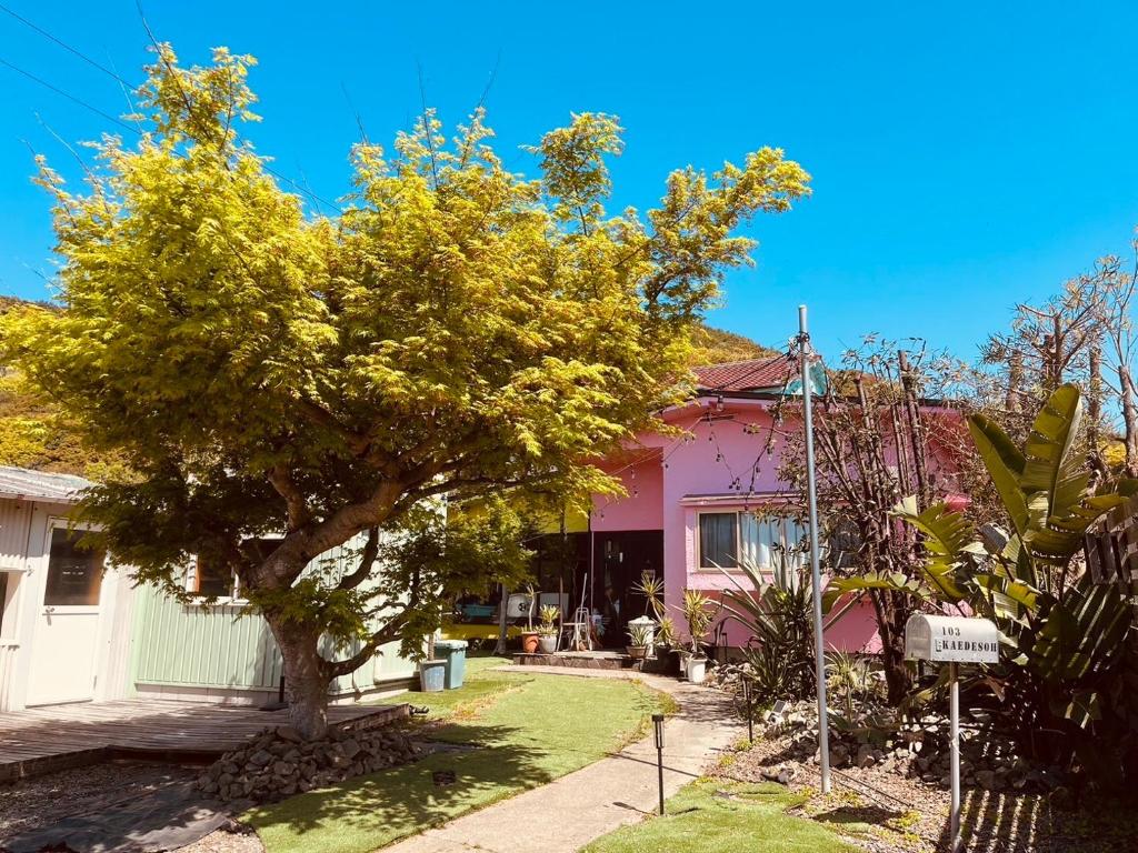 a pink house with a tree in the yard at Peace House Isonoura in Wakayama