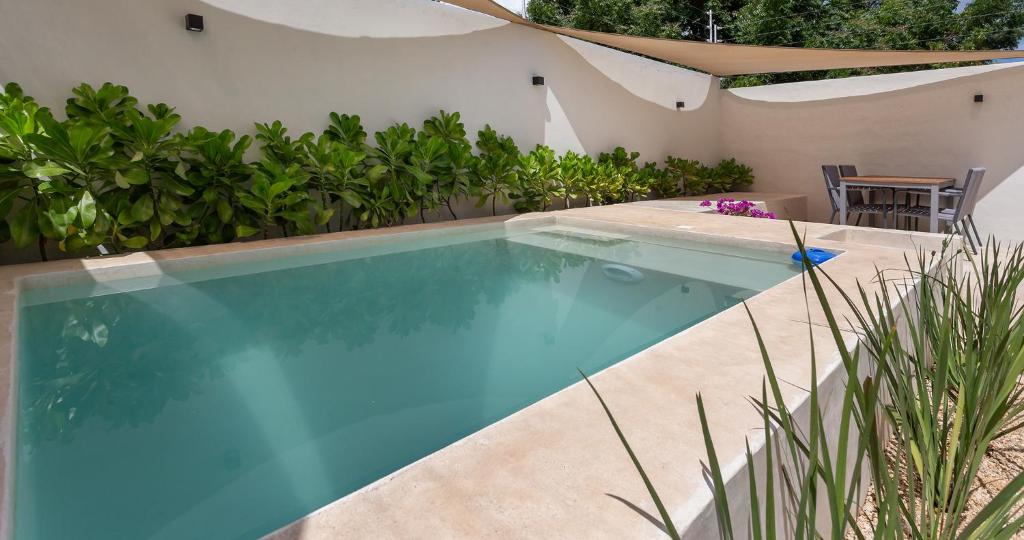 a swimming pool in the backyard of a house at Casa Venado in Caucel