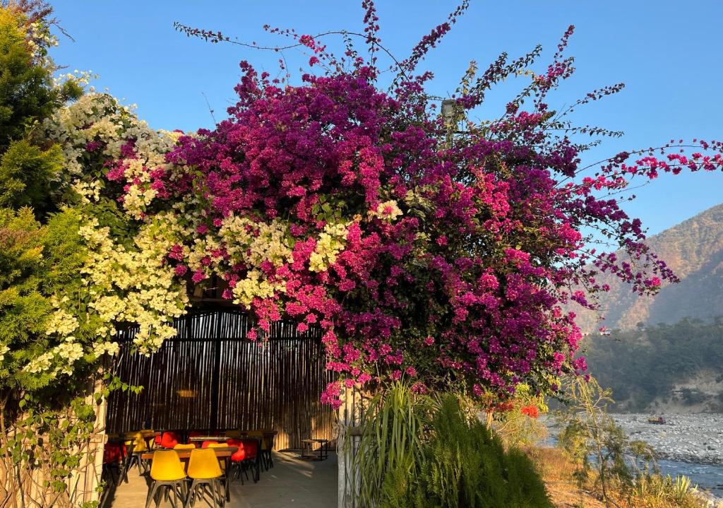 a bunch of flowers hanging from a building at Nayar Valley Retreat in Lansdowne