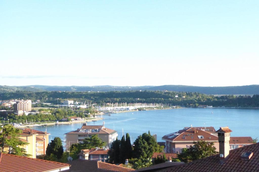Příroda nedaleko apartmánu