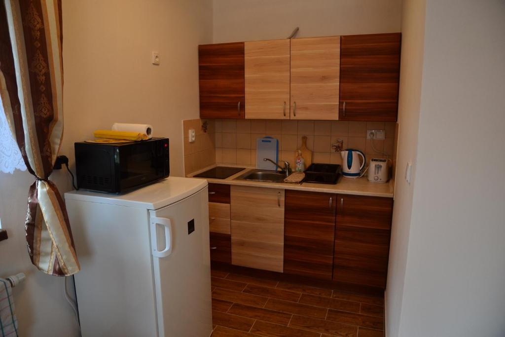 Kuchyň nebo kuchyňský kout v ubytování Apartmány Nad řekou