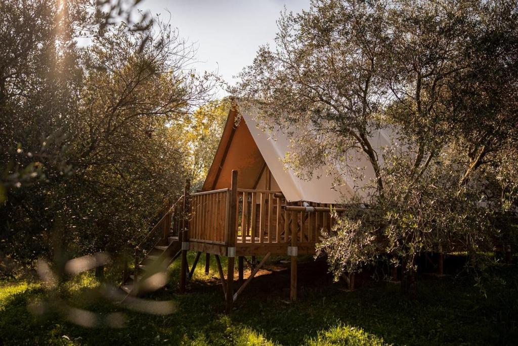 Glamping Il Bosco di Marino