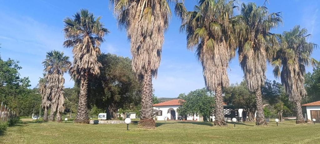 a group of palm trees in front of a house at Eden's Garden Kalamitsi in Kalamitsi