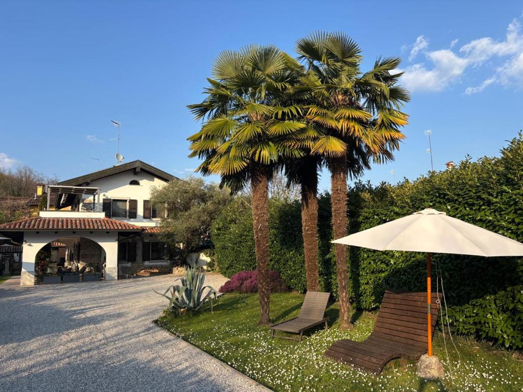 a couple of chairs and an umbrella and palm trees at Villa Rose in Cividale del Friuli