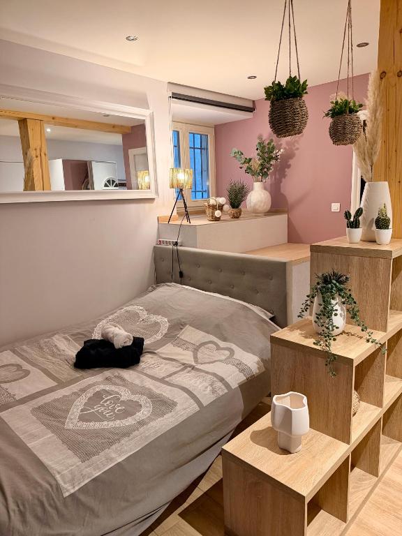 Studio cosy Kaysersberg centre – photo 2