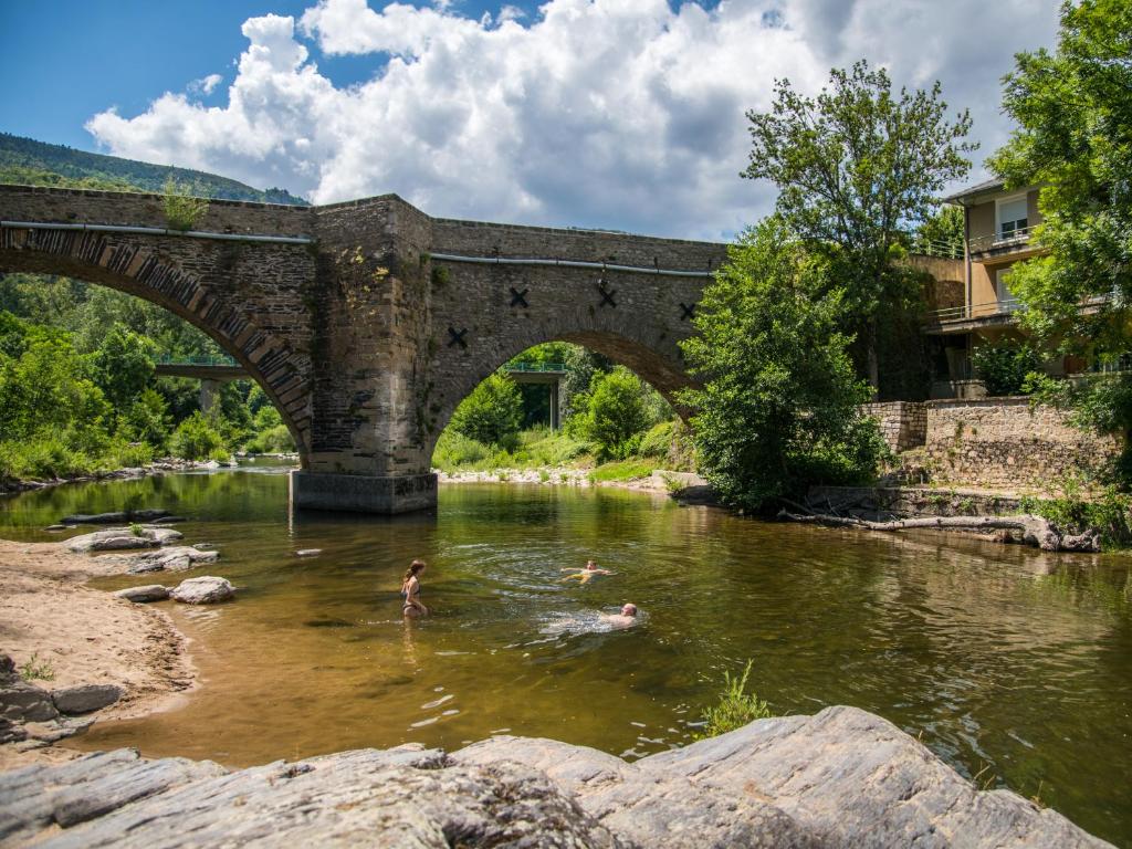 a person swimming in a river under a bridge at Flower Camping Le Pont du Tarn in Florac