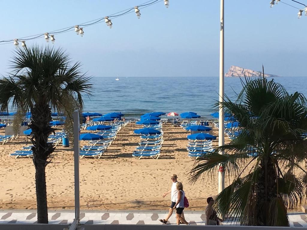 Levante front row TOP views