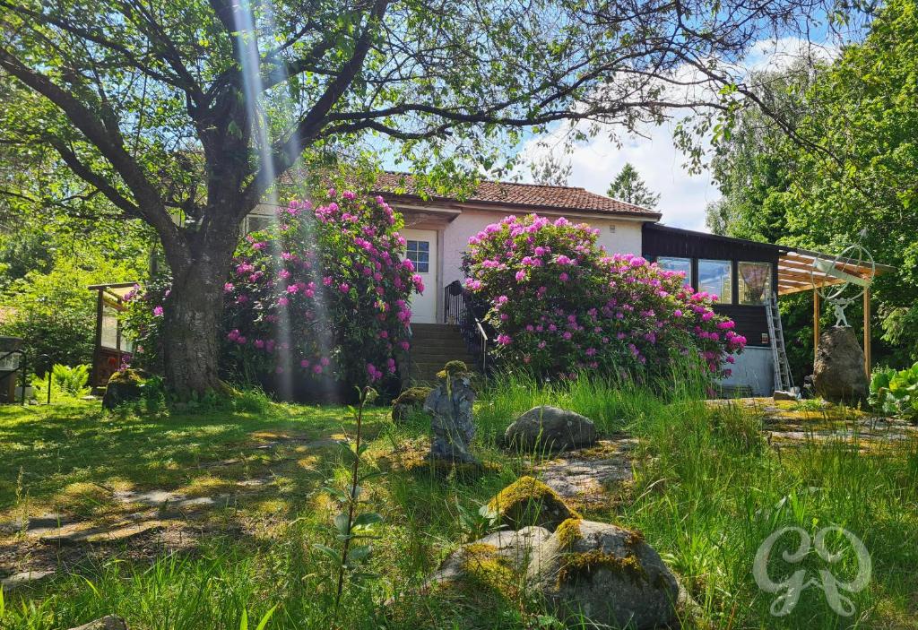 a house with pink flowers in the yard at Romantic get-away in Mölnlycke