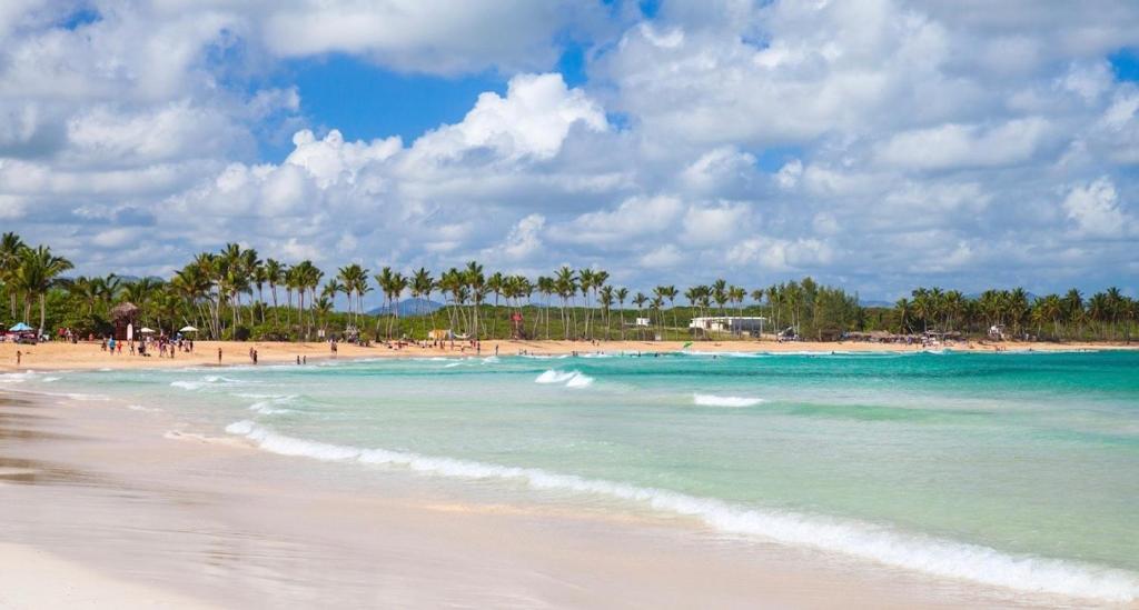 a beach with palm trees and the ocean on a cloudy day at RUKA Hotel in Punta Cana