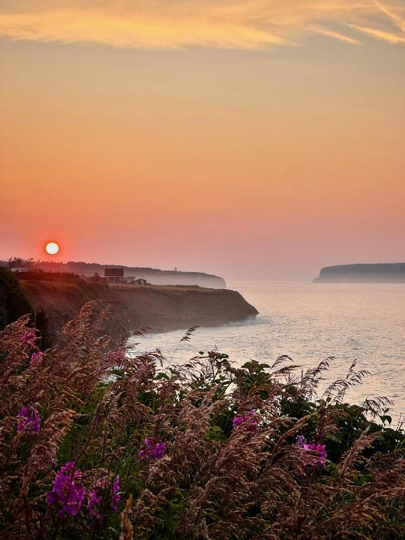 a sunset over the ocean with purple flowers at Motel Seal Rock in Perce