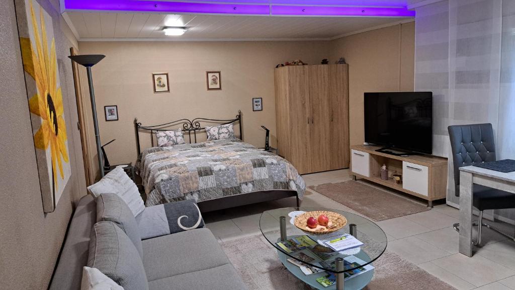 a living room with a bed and a tv at Apartment Curly in Scheyern