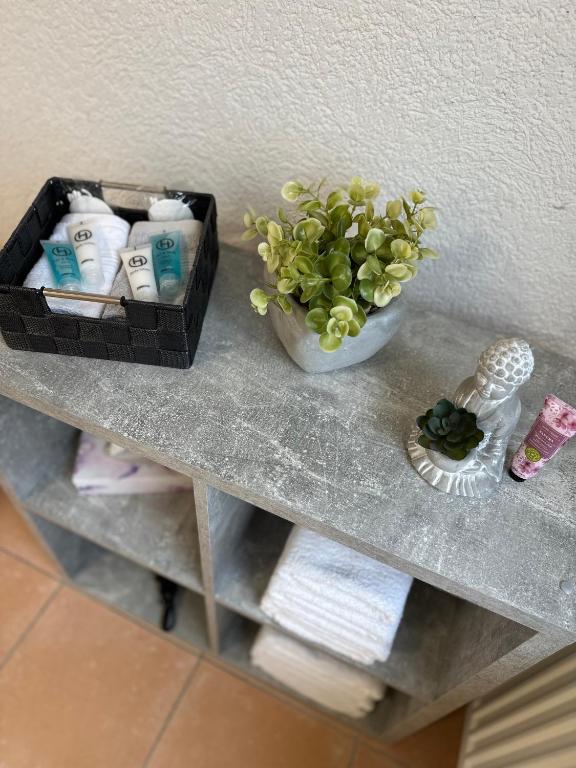 a shelf with a bowl of toiletries and a plant at Steinlachquartier in Dußlingen