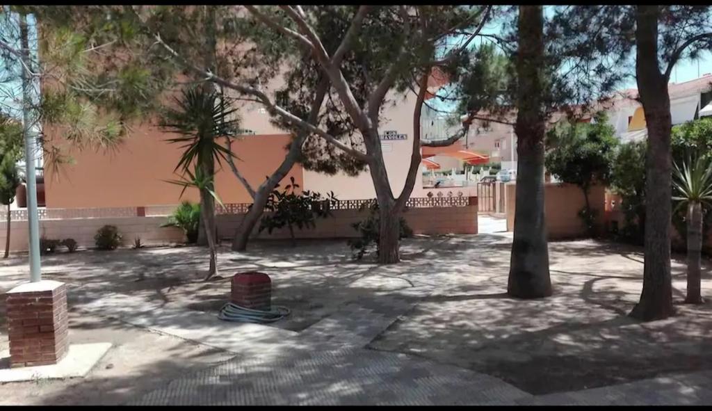 a courtyard with trees and a pink building at Duplex en El Pouet, con ascensor in Sueca