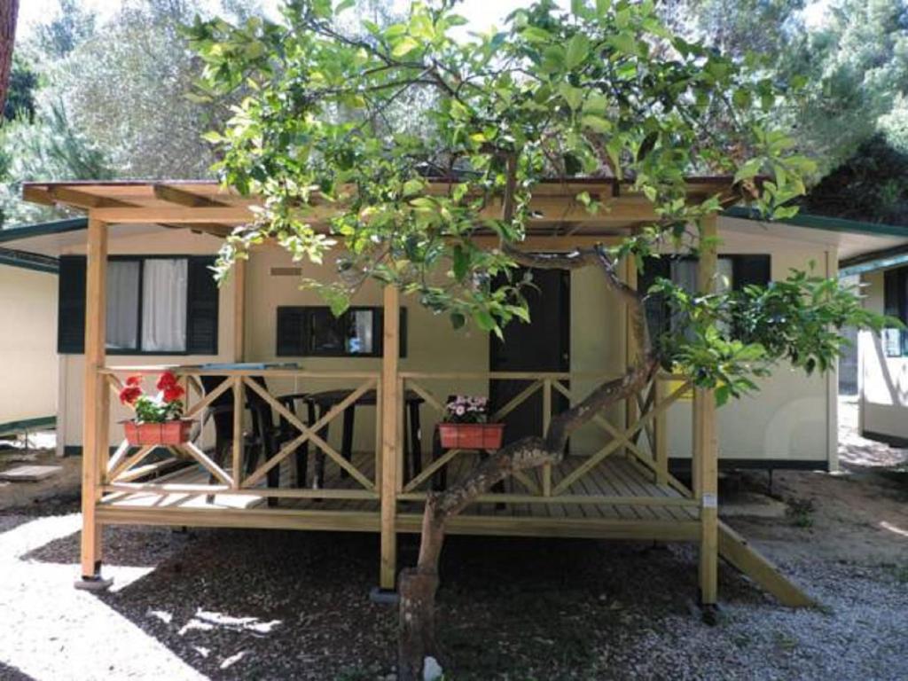 Zahrada ubytování Victoria Camping Bella Austria