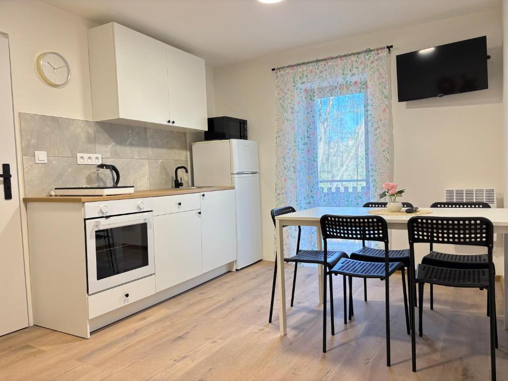 a kitchen with a table and chairs in a kitchen at Apartmány Veselka in Oslnovice