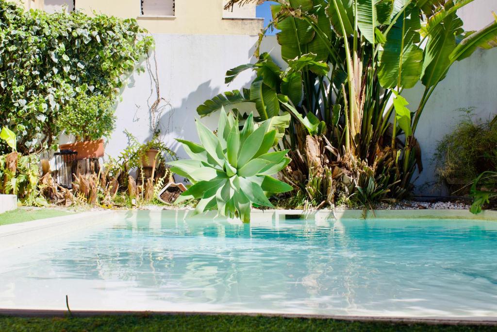 a pool with a plant in front of a house at White and Light House in Costa da Caparica