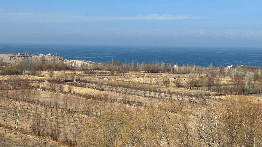 an empty field with the ocean in the background at Алия in Tossor