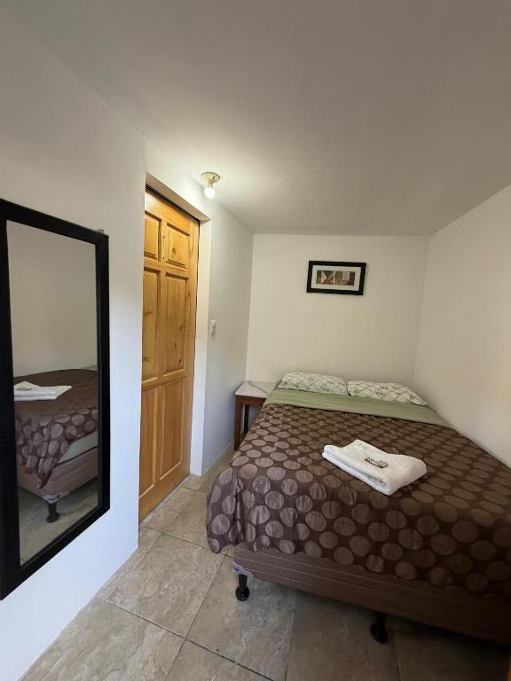 Hotel Minnesota y Centro de Eventos Molina - Budget Single Room