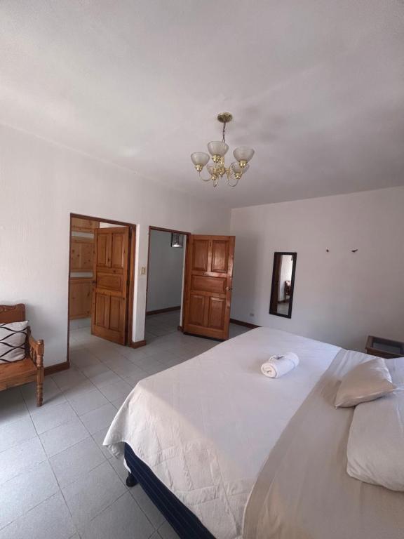 Hotel Minnesota y Centro de Eventos Molina - Single Room With Private Bathroom