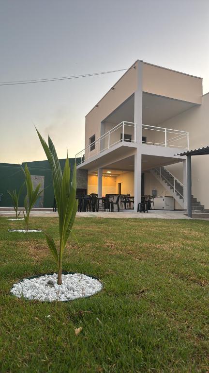 a house with a palm tree in the grass at Chácara Santa Fé in Iguatu