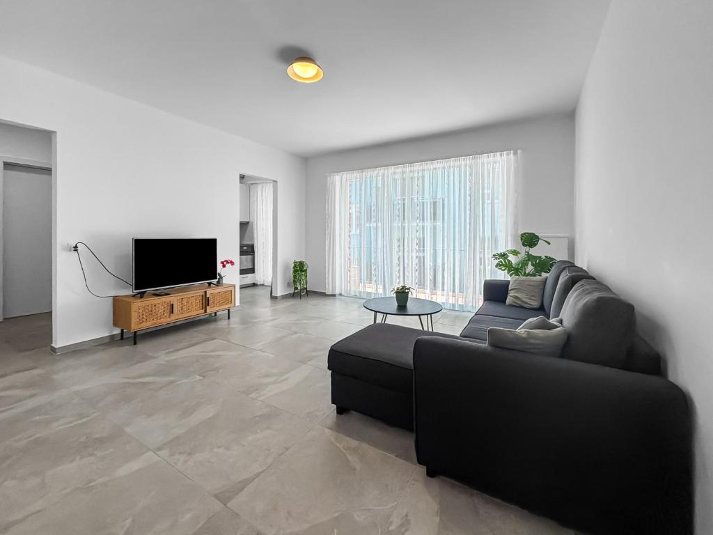 a living room with a couch and a flat screen tv at Appartamento Rivamaggia Locarno in Solduno