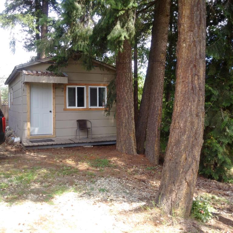 a small cabin with a porch in the middle of trees at Jasper Way Inn Resort & Campground in Clearwater