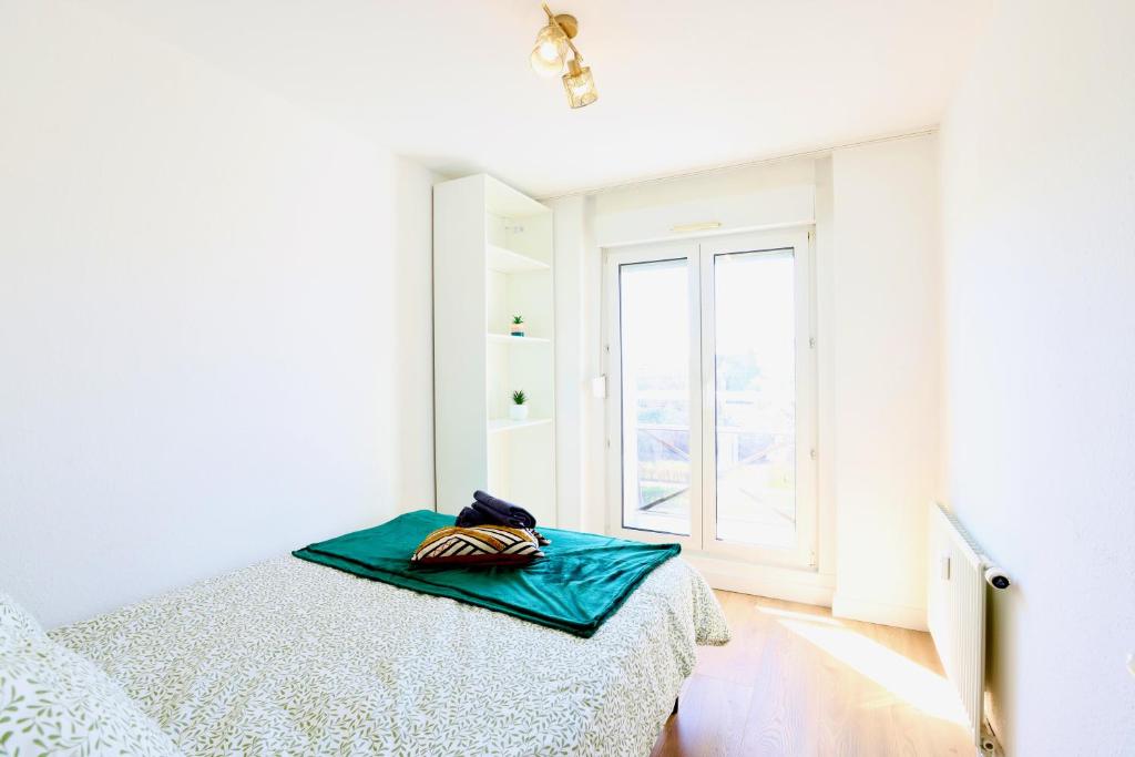 4 min to Basel - Fully Renovated- Private Parking Space – photo 6