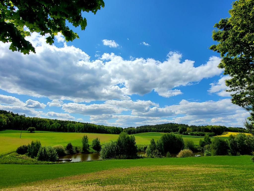 a green field with a blue sky and clouds at Domek Jabłoniowy in Małe Leżno