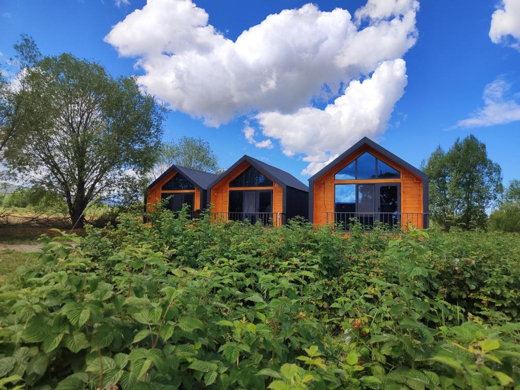 a house in the middle of a field at Noygut in Dzhetyoguz