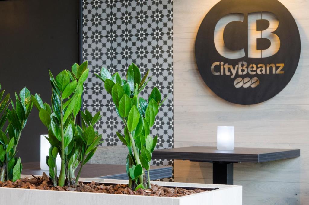 Certifikát, hodnocení, plakát nebo jiný dokument vystavený v ubytování City2Beach Hotel