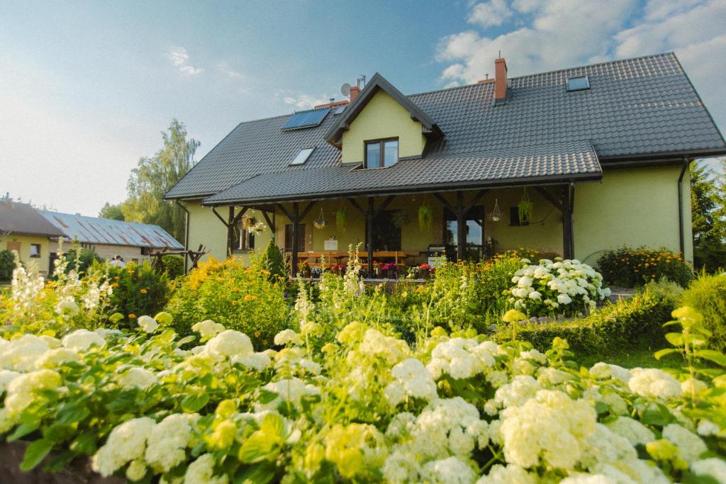 Agroturystyka u Oli