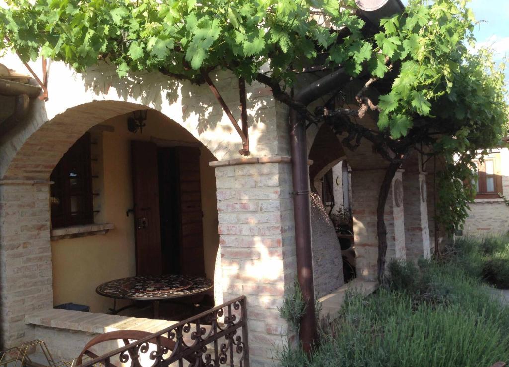 A garden outside Monastery Birbino