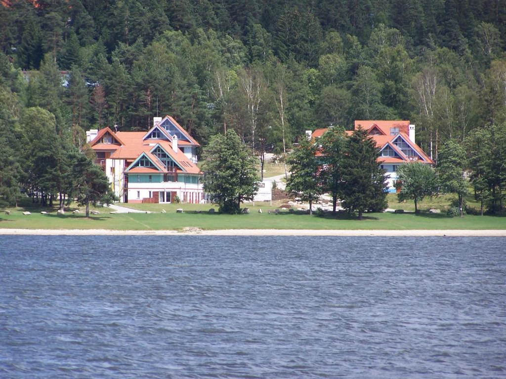 a large house on the shore of a body of water at Apartment Lipno in Lipno nad Vltavou