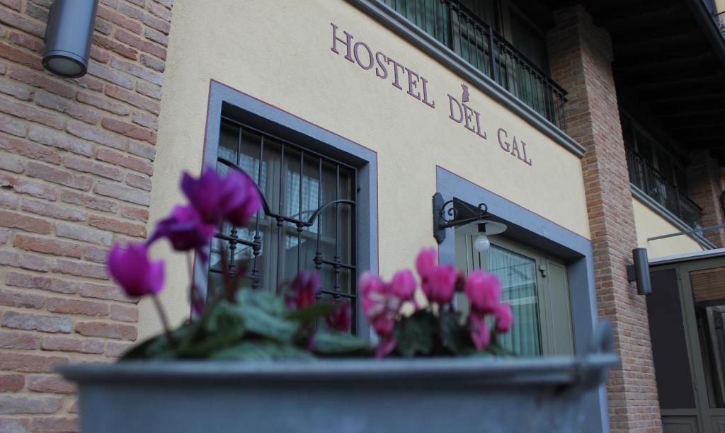 a pot of flowers in front of a building at Hostel del Gal in Clusane sul Lago