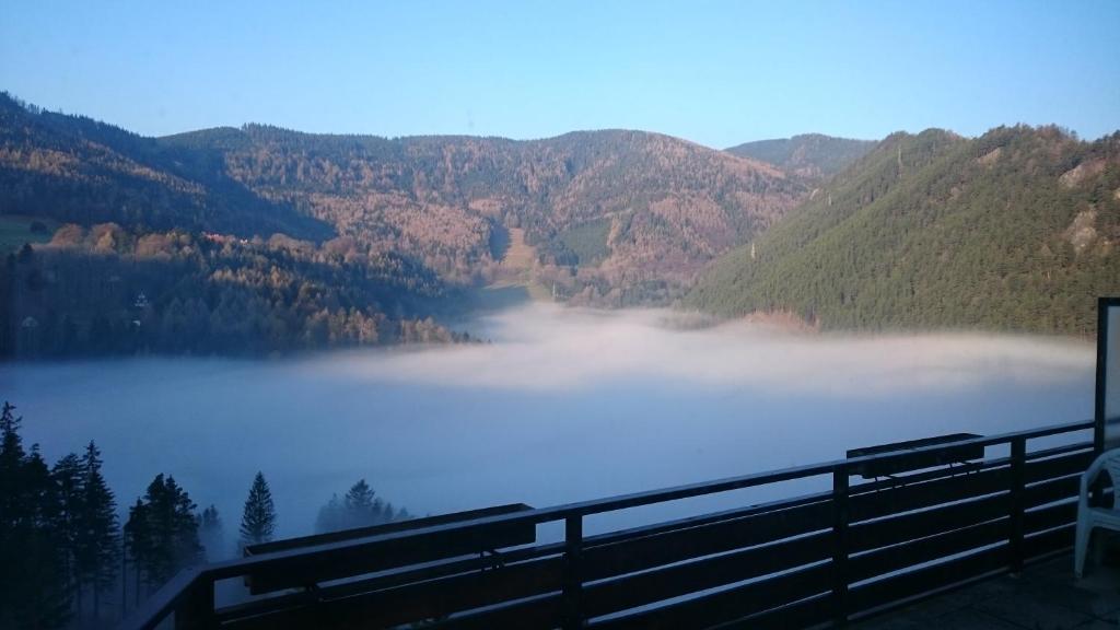 Príroda v okolí apartmánu